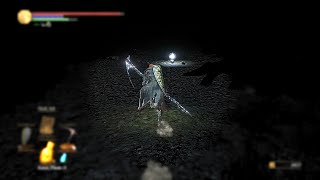 DS3  My First Real Jumpscare in a long time [upl. by Chelsy]