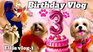 ELLIE’S 3rd SPECIAL BIRTHDAY VLOG🐶🎂  PET FRIENDLY CAFE kolkata 🧿🩷 petfriendlycafe birthdayvlog [upl. by Hardej]