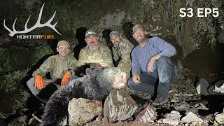 2 BEARS DOWN ARIZONA PUBLIC LAND BLACK BEAR HUNTING [upl. by Gytle593]