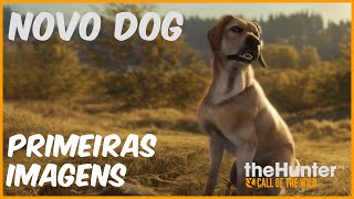 NOVO CACHORRO O LABRADOR RETRIEVER PRIMEIRAS IMAGENS  THE HUNTER CALL OF THE WILD [upl. by Nordek16]