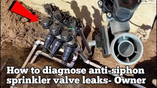 How to Diagnose an Antisiphon Sprinkler Valve Leak Easy You Must Know [upl. by Kinnard986]