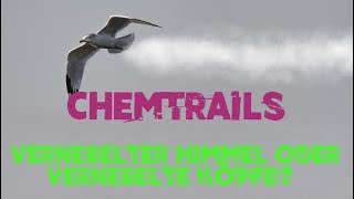 Chemtrails  Vernebelter Himmel oder vernebelte Köpfe [upl. by Eveivenej]