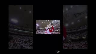 detroitredwings hockeytown stanleycup nhl [upl. by Ellemaj]