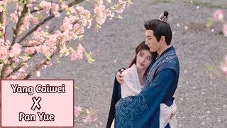 In Blossom FMV  Yang Caiwei ✘ Pan Yue [upl. by Noit]