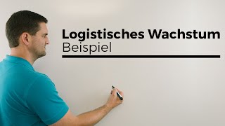 Logistisches Wachstum Nachtrag Beispiel Teil 1  Mathe by Daniel Jung [upl. by Chane]