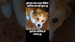 कुत्ते ने नया जन्म लिया लेकिन मालिक को नहीं भुला पाया 😱  short dog movie cartoon [upl. by Nuri597]