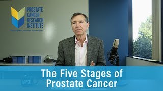 The Five Stages of Prostate Cancer  Prostate Cancer Staging Guide [upl. by Houser]