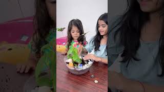 Viya amp Amaira’s Terrarium ft Suma akka princessviya anchorsuma sumaadda anchorravi [upl. by Sucramad]