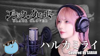 【ブラッククローバー】感覚ピエロ  ハルカミライ SARAH cover  Black Clover OP1 Haruka Mirai [upl. by Carr481]