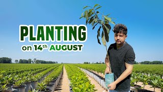 i grow Plant on 14 August  Hydr z vlog [upl. by Thornburg]