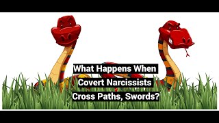 When Covert Narcissists Cross Paths Swords [upl. by Aihsrop460]