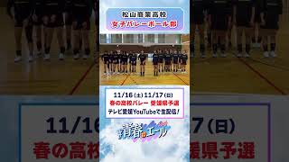 春高バレー2024意気込み動画 [upl. by Shing845]