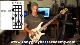 Major 7 Chord Tones and Tensions Free Bass Lesson 2 [upl. by Weixel]