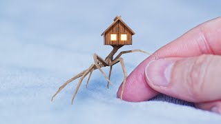 All about Sam  little monster house on spider legs [upl. by Akimehs]