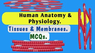 MCQs  Tissues  Membranes  Human Anatomy amp Physiology  Paramedics  MRB  RRB  EXIT Exam [upl. by Omura]