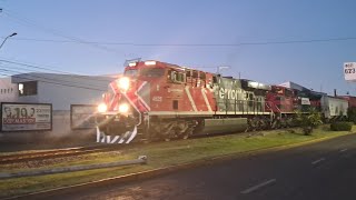 imprudencia al tren en irapuato fxe4625 sale a guadalajara con lindo atardecer con una sd70ace 🙏👉👍 [upl. by Lucania]