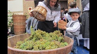 Fiesta de la Vendimia en Rueda 2018 [upl. by Guillemette237]