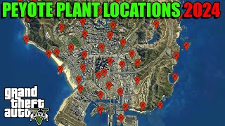 Peyote Plants Locations Map 2024  Where To Find The Peyote Plants  GTA 5 Online [upl. by Elletnuahs]