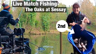 Live Match Fishing  The Oaks at Sessay Oak Lake [upl. by Eidson480]