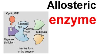 Allosteric enzyme [upl. by Lorenza]