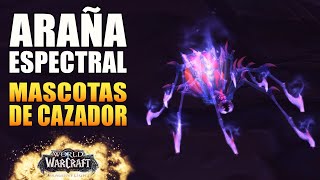 Araña Espectral  Mejores Mascotas De Cazador WOW  World Of Warcraft Dragonflight [upl. by Frida]