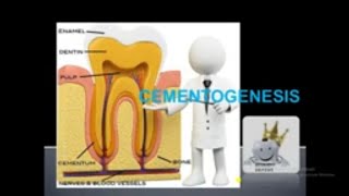 CEMENTOGENESIS SIMPLE LECTURE [upl. by Alyakcm]