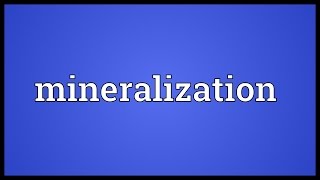 Mineralization Meaning [upl. by Bisset958]