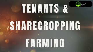 Sharecropper amp Tenants Famer  Brief Introduction  Dap Fertilizer [upl. by Hogg330]