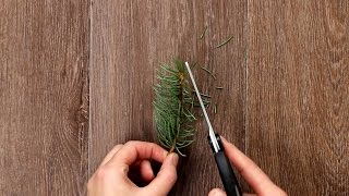 Weihnachtsbaum im Glas als DIY Weihnachts Deko [upl. by Anisirhc]