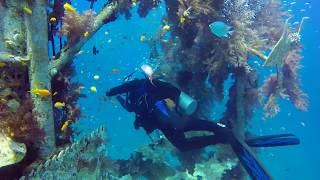 Scuba Diving in Eilat Israel [upl. by Weingarten]