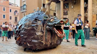 L’Anada a la PROFESSÓ amb el SEGUICI POPULAR Plaça de la Seu Santa Tecla Tarragona 2023 [upl. by Lluj547]