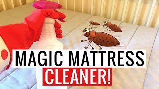 How to Clean a Mattress Remove Stains Smells amp Disinfect SO EASY  Andrea Jean Cleaning [upl. by Adamis]