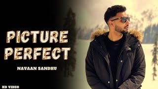 Navaan Sandhu  Picture Perfect Official Song Navaan Sandhu New Song  Navaan Sandhu Picture [upl. by Chemosh]