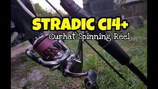 Curhat Stradic Ci4 1000 [upl. by Rajewski]