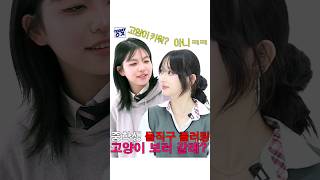 여학생들이 알려주는 플러팅 기술 한국학생 amp 중국학생 [upl. by Haidej]