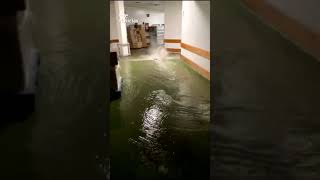 AVISO ROJO en MÁLAGA por una DANA que deja INUNDACIONES y RIADAS [upl. by Eemak]