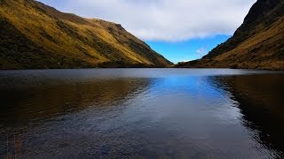 Documental El Agua de los Paramos y bosques de neblina [upl. by Trainor]