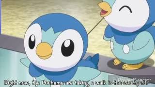 Pokemon XY Ash References Dawns Piplup Japanese Dub [upl. by Cid]