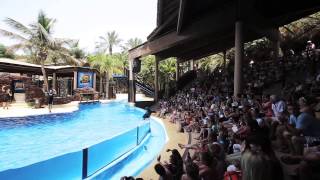 Zoo Fuerteventura Oasis Park La Lajita WakacjeFuerteventuracompl [upl. by Leffen11]