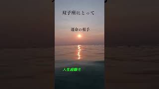 双子座にとって「運命の相手」とも言える星座があるんです 恋愛 占い 双子座 ＃やぎ座 [upl. by Eastlake]