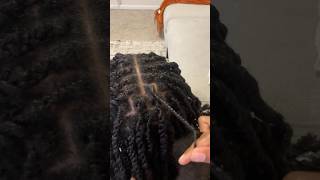 Mini Twists Tutorial on Natural Hair with Added Hair Extensions [upl. by Ellwood431]