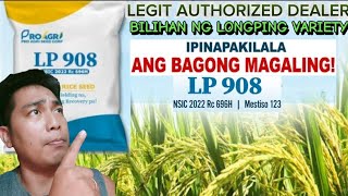 AUTHORIZED DEALER BILIHAN NG SUPER HYBRID RICE SEEDS LONGPING 908 2096 937 AT 534 VARIETY [upl. by Hgielrahc949]