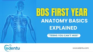 ANATOMY BASICS EXPLAINED  BDS FIRST YEAR  BDS  EDENTU [upl. by Sale]