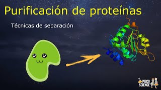 Técnicas de Purificación de proteínas [upl. by Couture759]