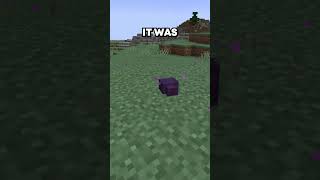 When Endermites Were First Added to Minecraft [upl. by Anwahsat]