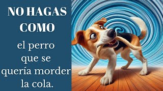 No hagas como el perro que se quería morder la cola [upl. by Alian]