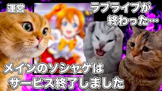 メインの音ゲーがサービス終了したラブライブ【猫ミーム】 猫マニ 猫ミーム [upl. by Leunamesoj]