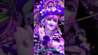 Krishna Kaana Joy Muralidhara 💗love krishnakrishnastatusradheshyam krishnabhajan [upl. by Warga]