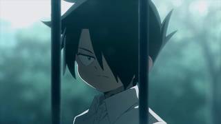 The Promised Neverland Amv Lost Boy [upl. by Anhsirk700]