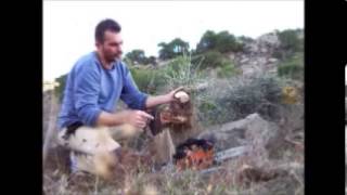 BONSAI HUNDING OLIVE TREES ΑΓΡΙΕΛΙΑ ΤΕΧΝΙΚΗ [upl. by Lundquist]